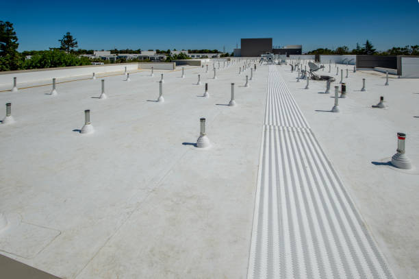 Best Roof Maintenance and Cleaning  in Queens, NY